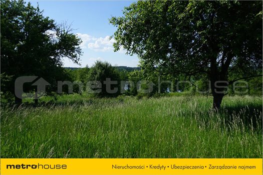 Działka siedliskowa na sprzedaż Ramsowo, Barczewo 12 729m2 Foto 4