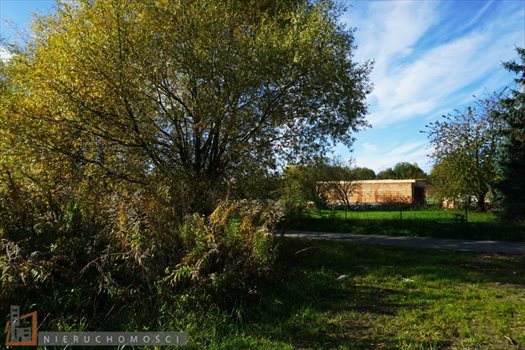 Działka budowlana na sprzedaż Giebułtów 2 600m2 Foto 4