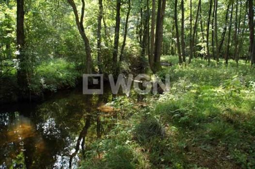 Dom na sprzedaż Lulemino, Kobylnica, Lulemino 106m2 Foto 7