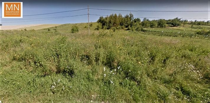 Działka budowlana na sprzedaż Januszowice 4 682m2 Foto 3