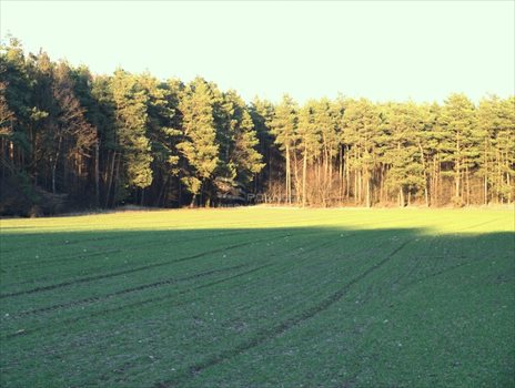 Działka rekreacyjna na sprzedaż Bardzynin 1 132m2 Foto 3