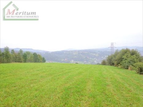 Działka budowlana na sprzedaż Nowy Sącz 4 400m2 Foto 2