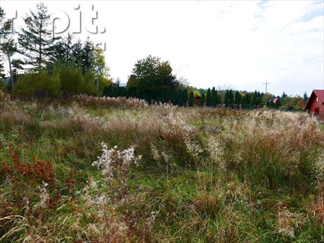 Działka budowlana na sprzedaż Poręba 1 430m2 Foto 4