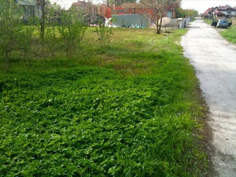 Działka budowlana na sprzedaż Warszawa, Wawer, Borowiecka 985m2 Foto 3