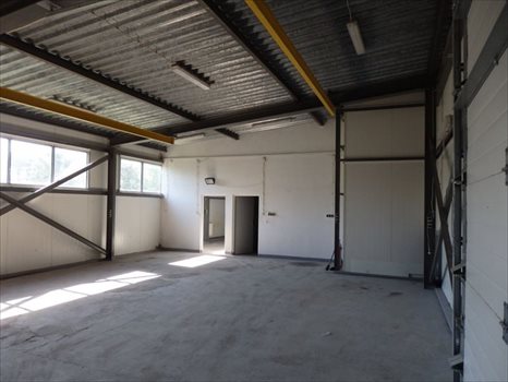 Lokal użytkowy na wynajem Reguły 600m2 Foto 3