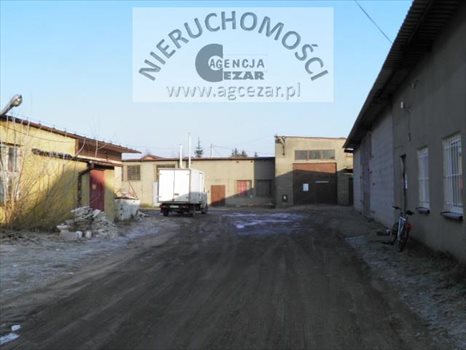 Lokal użytkowy na sprzedaż Mińsk Mazowiecki 1 330m2 Foto 4