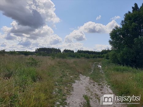 Działka inna na sprzedaż Jagatowo 26 452m2 Foto 8