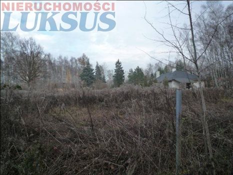 Działka budowlana na sprzedaż Złotokłos, Złotokłos 1 766m2 Foto 2
