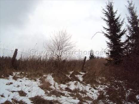 Działka budowlana na sprzedaż Wałbrzych, Piaskowa Góra 7 968m2 Foto 7