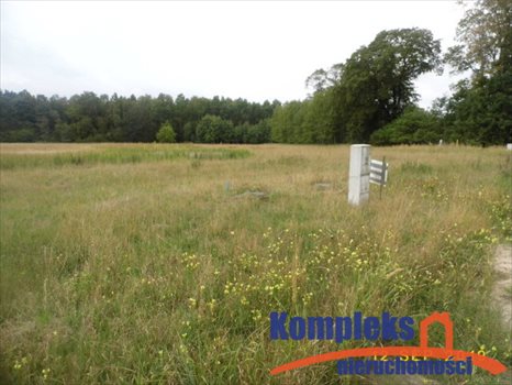 Działka budowlana na sprzedaż Grzepnica 1 553m2 Foto 2