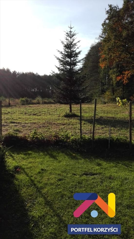 Działka budowlana na sprzedaż Droszków 2 868m2 Foto 4