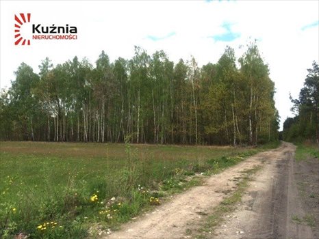 Działka budowlana na sprzedaż Książenice 2 313m2 Foto 2