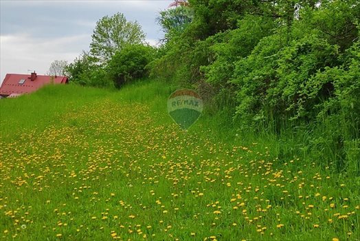 Działka rolna na sprzedaż Rabka-Zdrój 1 472m2 Foto 4