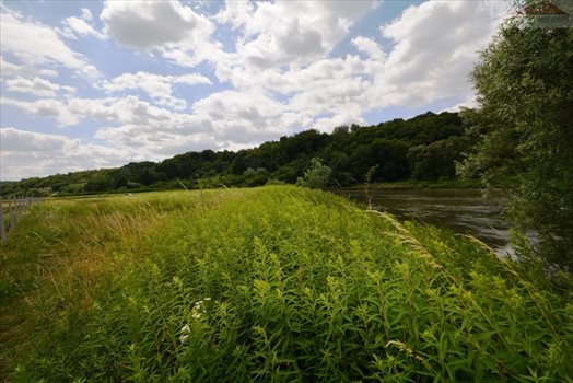 Działka rekreacyjna na sprzedaż Bachórzec 3 600m2 Foto 2