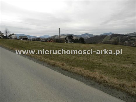 Działka budowlana na sprzedaż Sowliny 3 000m2 Foto 5