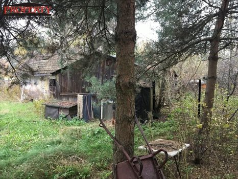 Działka inwestycyjna na sprzedaż Łódź, Górna, Kolumny 3 000m2 Foto 10