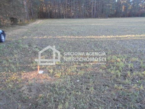 Działka budowlana na sprzedaż Rokity 1 246m2 Foto 2