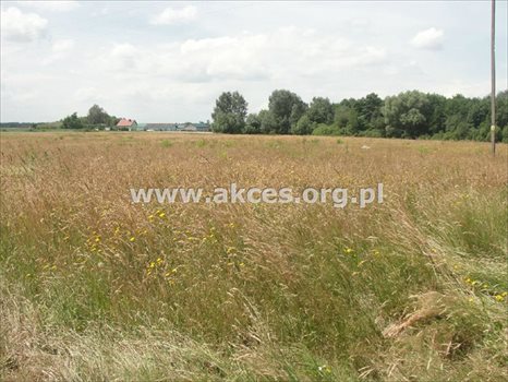 Działka rolna na sprzedaż Pawłówka 71 900m2 Foto 3
