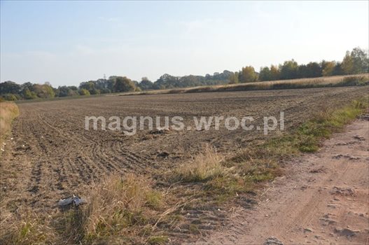 Działka budowlana na sprzedaż Wrocław, Psie Pole, Kowale, Boczna Kowalskiej 7 663m2 Foto 2