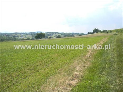 Działka rolna na sprzedaż Stare Rybie 10 800m2 Foto 5