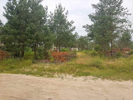 Działka budowlana na sprzedaż Warszawa, Wawer, Ogórkowa 3 780m2 Foto 2