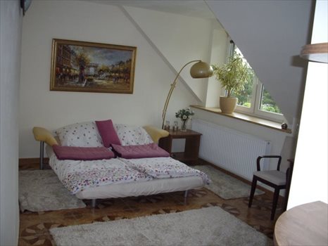 Luksusowy dom na sprzedaż Wrocław, Wojnów, Rezydencja + klinika, restauracja Kamieniec Wrocławski 750m2 Foto 18