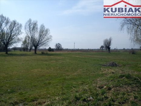 Działka rolna na sprzedaż Mokre 13 000m2 Foto 1