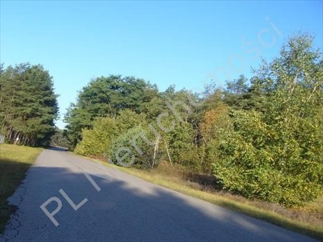 Działka budowlana na sprzedaż Przypki 20 000m2 Foto 7