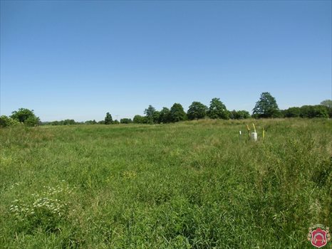 Działka budowlana na sprzedaż Reda, Ciechocino 1 024m2 Foto 3