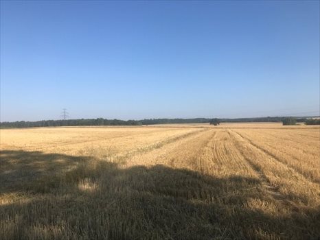 Działka budowlana na sprzedaż Siekierczyn 1 142m2 Foto 2