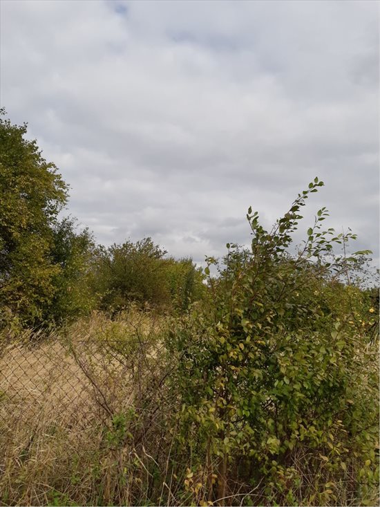 Działka budowlana na sprzedaż Zabrze, Maciejów, ul. prof. Walerego Fontanusa 1 450m2 Foto 2