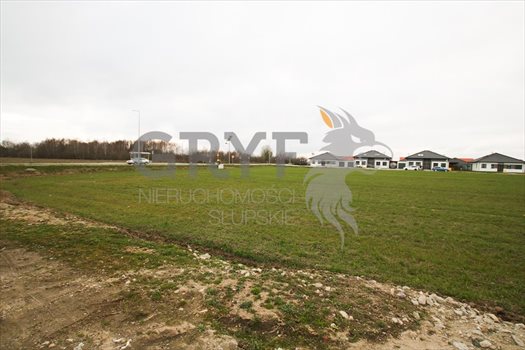Działka budowlana na sprzedaż Siemianice, Siemianice 1 154m2 Foto 5