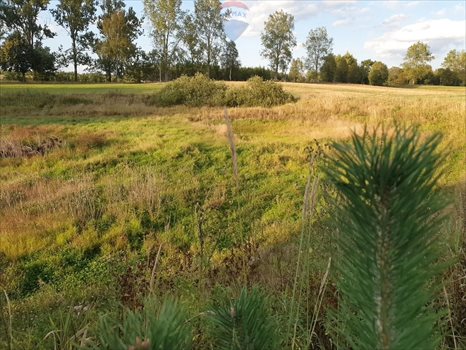 Działka siedliskowa na sprzedaż Sobącz 48 970m2 Foto 11