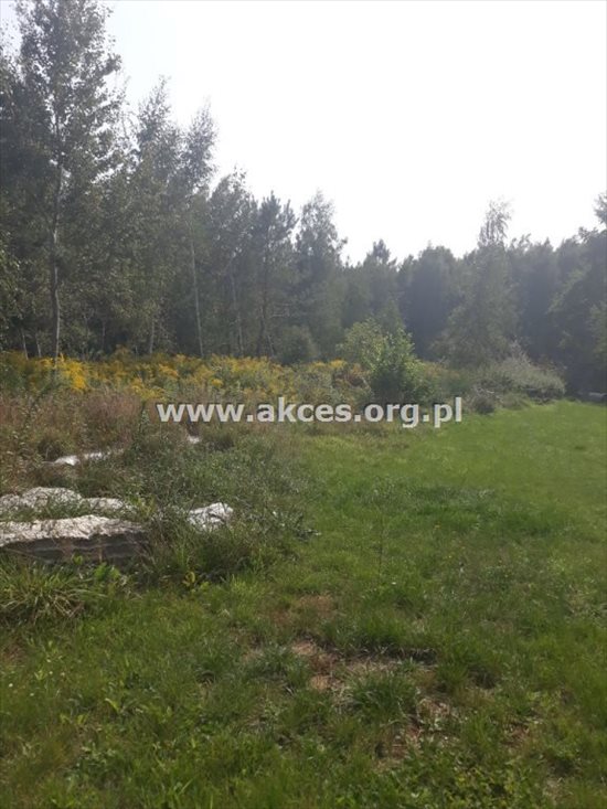 Działka budowlana na sprzedaż Marylka, Majowa 2 540m2 Foto 9