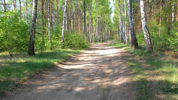 Działka budowlana na sprzedaż Sulejów, Sulejów, Ustronna 1 000m2 Foto 9