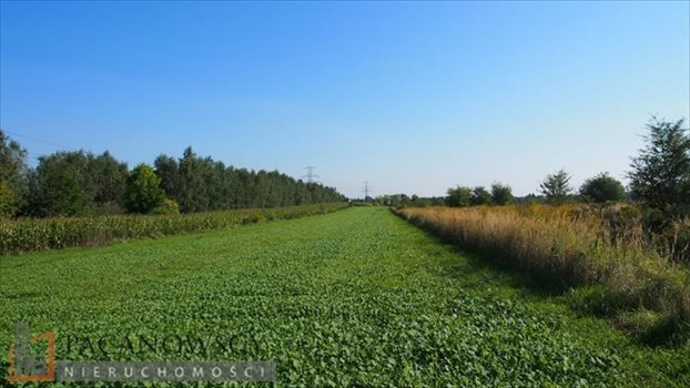 Działka budowlana na sprzedaż Bibice 2 397m2 Foto 6