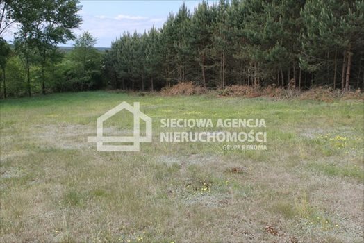 Działka budowlana na sprzedaż Lubowidz 1 621m2 Foto 6