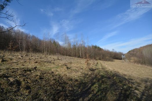 Działka rekreacyjna na sprzedaż Babice 2 400m2 Foto 11