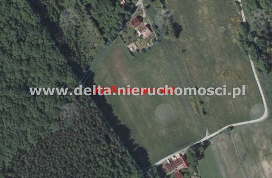 Działka budowlana na sprzedaż Sycewice 17 500m2 Foto 5