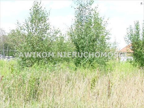 Działka budowlana na sprzedaż Skierniewice, Miedniewice 1 318m2 Foto 1
