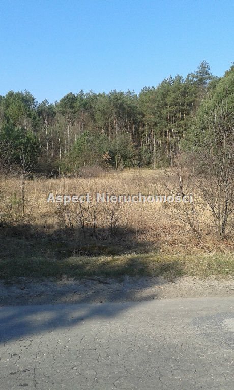 Działka inna na sprzedaż Sędeń Duży 2 600m2 Foto 5