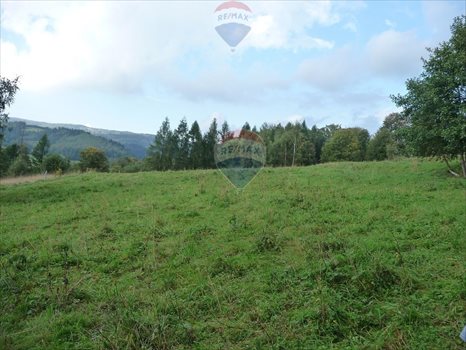 Działka budowlana na sprzedaż Rabka-Zdrój 5 650m2 Foto 2
