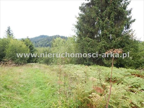 Działka inna na sprzedaż Szczawa 4 800m2 Foto 2