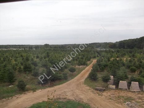 Działka rolna na sprzedaż Grzegorzewice 31 934m2 Foto 4