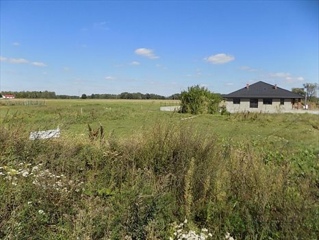 Działka inna na sprzedaż Trzepowo, Trzepowo, Trzepowo 1 644m2 Foto 5