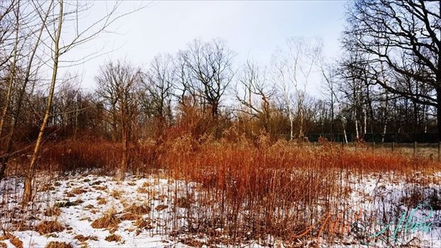 Działka inna na sprzedaż Zabrze, Śródmieście 5 635m2 Foto 5