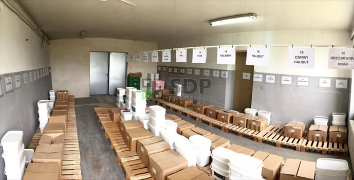 Lokal użytkowy na sprzedaż Witoszów Dolny 1 000m2 Foto 5