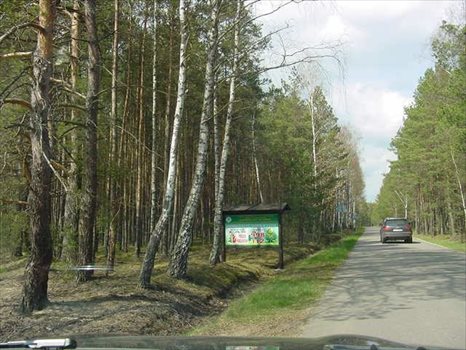 Działka inna na sprzedaż Ostrowite, Linia Brzegowa, NADJEZIORNA 3 070m2 Foto 3