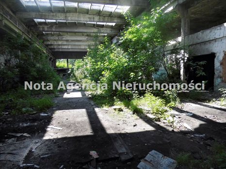 Działka inwestycyjna na sprzedaż Wałbrzych, Sobięcin 12 874m2 Foto 4
