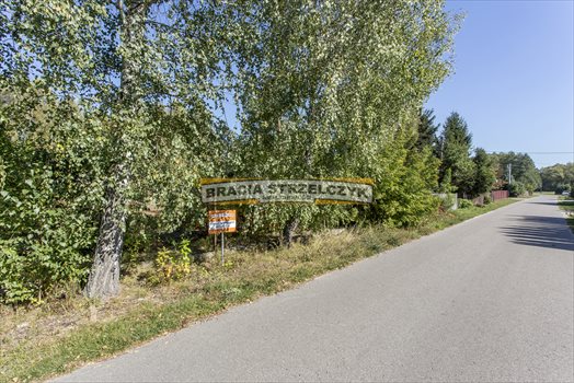 Działka budowlana na sprzedaż Płatków 3 900m2 Foto 6